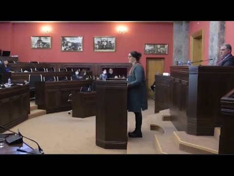 მხარდაჭერა მხოლოდ „ოცნებისგან“ - პერსონალურ მონაცემთა დაცვის სამსახურის უფროსს ირჩევენ