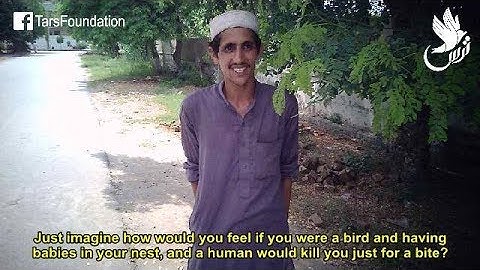 TARS Foundation | Stopping a Drug Addicted Man from Hunting Innocent Birds
