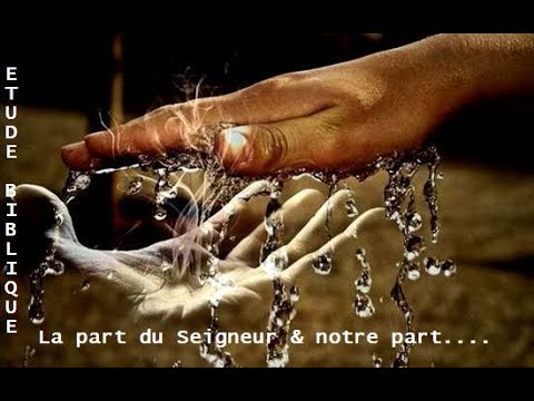 Quel est le rôle de Dieu dans nos vie? La part du Seigneur & notre ...