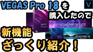 VEGAS Pro 18を購入したので、新機能をざっくり見てみる！