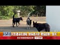 高雄市安全事件
