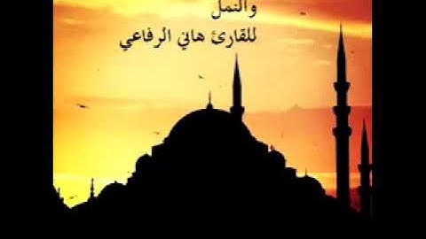 تلاوة لسور الفرقان الشعراء و النمل للقارىء هاني الرفاعي  تسجيل قديم