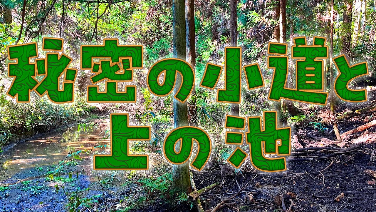 秘密の小道と上の池