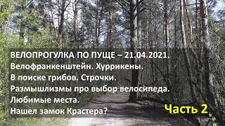 Велопрогулка по Пуще. 21.04.2021 - Часть 2.