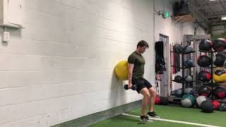 Stability Ball Dumbbell Wall Squat