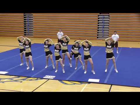 Stevensville High School Cheer Team   State 2019