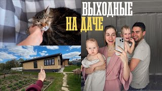 картинка: * загородная версия будней с погодками * рум тур участка🏡 про сон, предрассудки и прокрастинацию