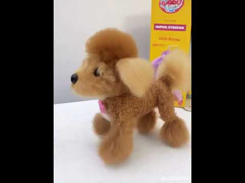 Little Live Pets - Poodle Curley #littlelivepets #curley