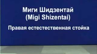 Shizentahi hon migi hidari