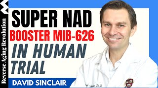 DAVID SINCLAIR Super NAD Booster MIB-626 In Human Trials Dr David Sinclair Interview Clips