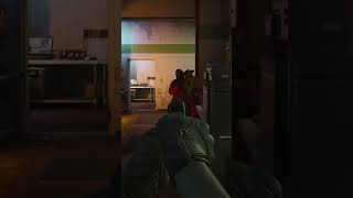 My pov from @SocalThero vid of the LS stories DLC #gaming #readyornot