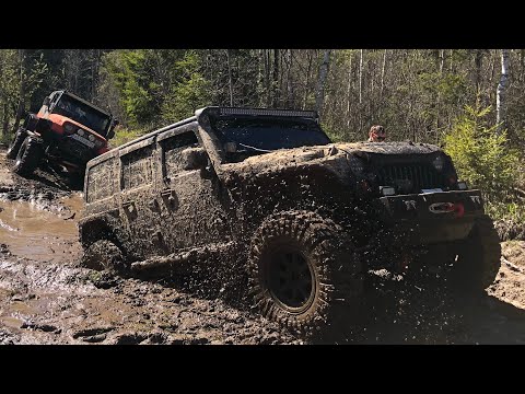 Video: Forskellen Mellem Rubicon Og Wrangler