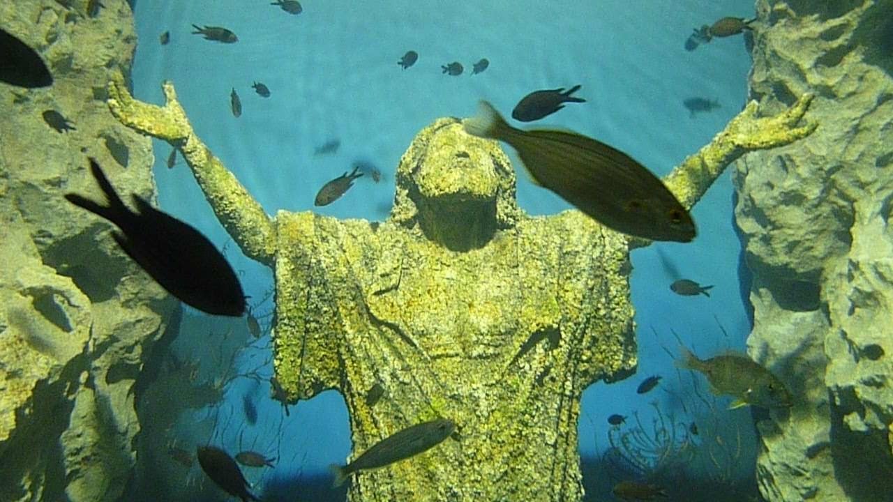 I visit the Malta National Aquarium 2013