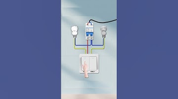 Double Switch Controls Two Lights | Easy Wiring Guide #electric #light #switch