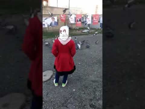 اهلا بالحلوين