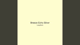 Breeze Echo Silver