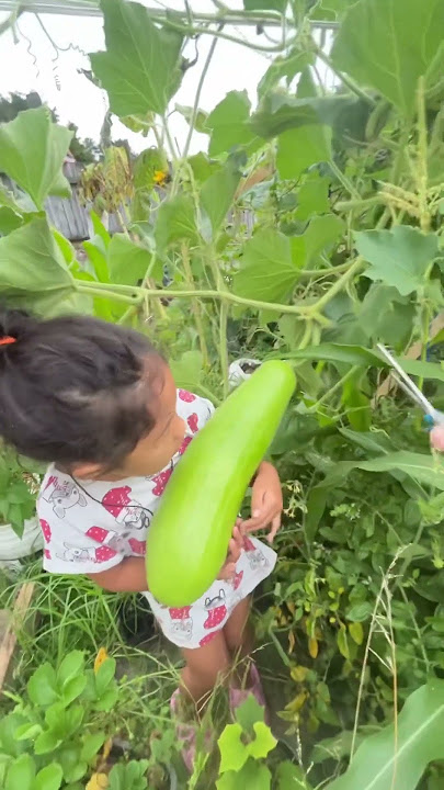 So Cute Girl #garden #harvest #vegetables #cutegirl