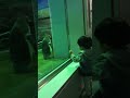 ペンギンのいないいないばあ