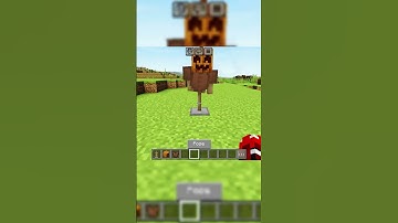Minecraft scarecrow hack #shorts #minecraft