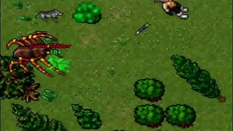 Caryn Lothar from Astera Tibia