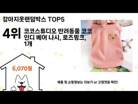 강아지옷랜덤박스 돈 아깝지 않은 가성비 추천 상품 Top5