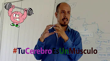 ¿Es el cerebro un músculo?