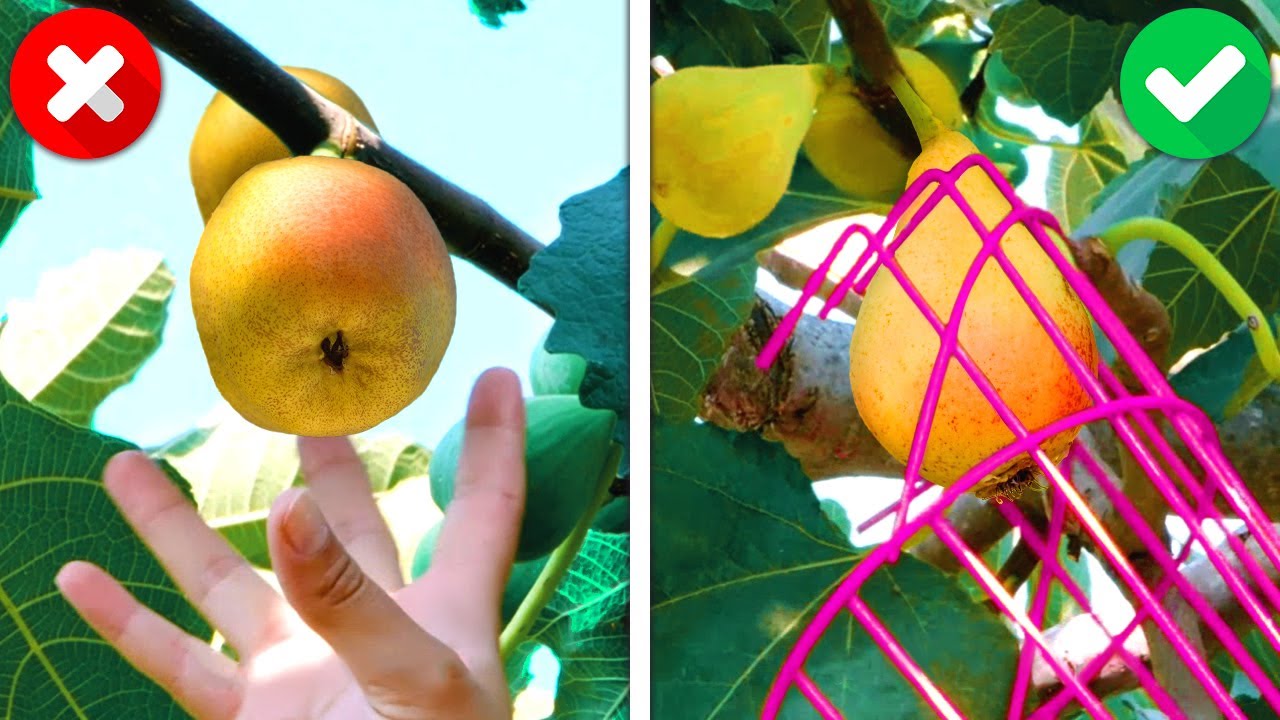 31 Useful Gardening Gadgets And Hacks That Will Make Your Life Easier ...