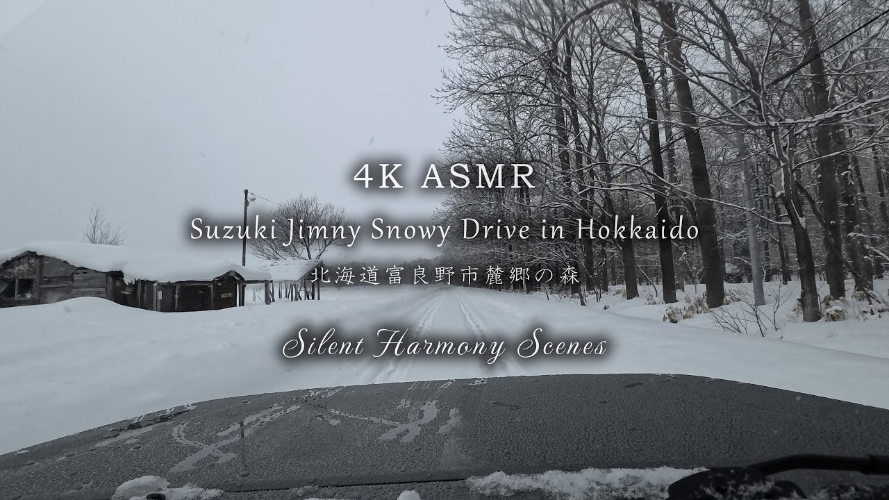 Winter Drive in Hokkaido: 4K POV Snowstorm Journey with Pure Car Sounds