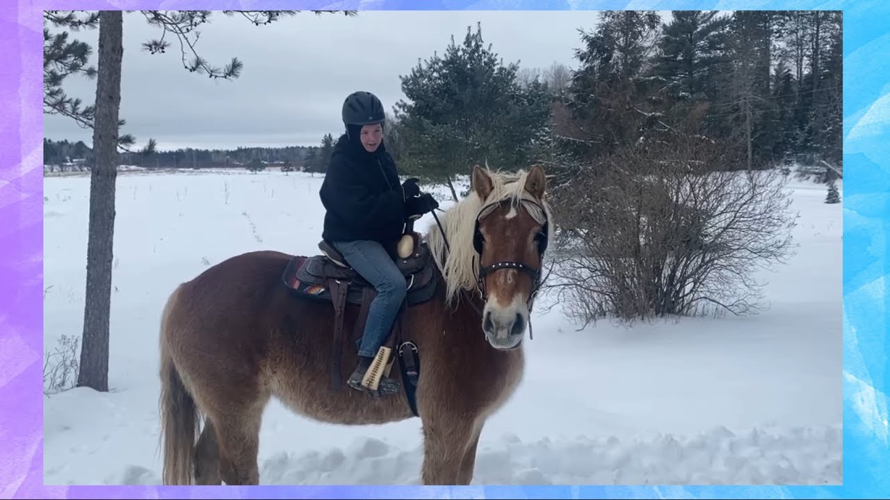 Riding 2 Of My DRAFT HORSES!! - YouTube