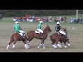 Day 4: Ireland vs New Zealand - 2011 Polocrosse World Cup