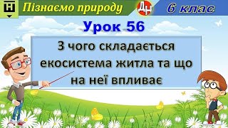 Урок 56. З чого складається екосистема житла та що на неї впливає