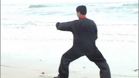 Chen Tai Chi Old Frame Laojia Taiji 2