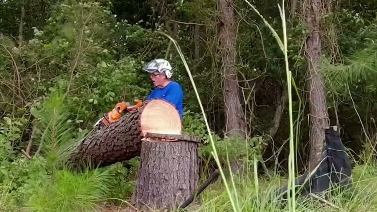 Demonstration and GDOT chainsaw howto chainsawsafety YouTube