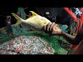 Unbelievable Big Catch Fishing In The Deep Sea | Latest Fish Video | @KadalTv