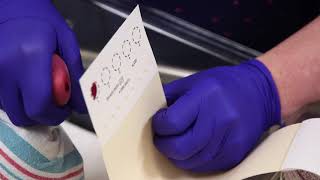 Newborn Screening Blood Specimen Collection screenshot 1