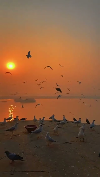 Tunjhe Deewana Banaya  | Abida Parveen | Slowed   Reverb | Heart-Touching Sufi Vibes 2025