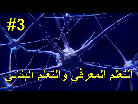 النظرية المعرفية والنظرية البنائية (نظريات التعلم)