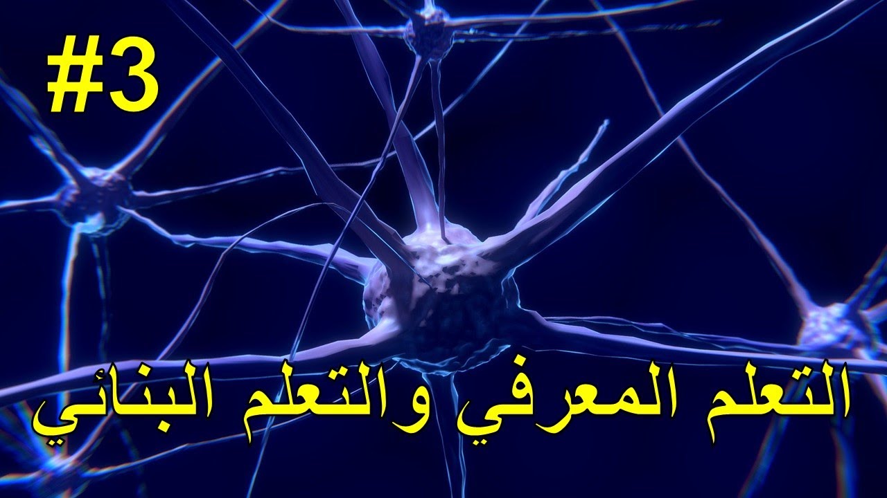 النظرية المعرفية والنظرية البنائية (نظريات التعلم)