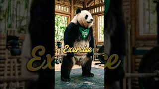 Panda Workout Transformation From Lazy to Full Energy #panda #viral #workout