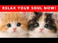 💖 HLOUBOKÁ MEDITACE KLID A RELAXACE ANDĚLSKÁ FREKVENCE 963 HZ PRO VNITŘNÍ MÍR ✨🌙