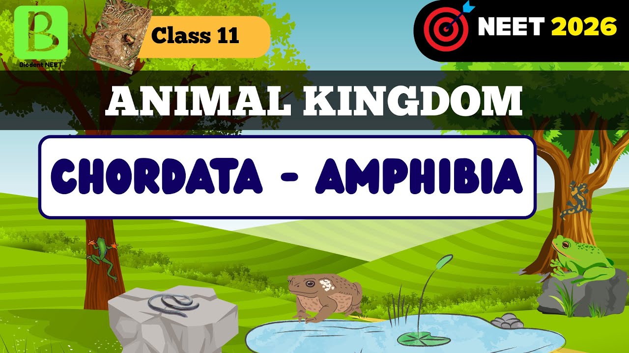 Learn Class AMPHIBIA in different way. | Animal kingdom Class 11 | 