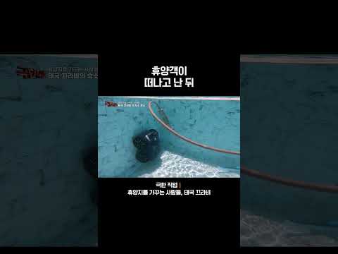 사람들이 떠난 자리를 눈부시게 만들어 주는 사람들🏊 #극한직업 #수영장 #청소 #휴양지 #<strong>끄라비</strong>