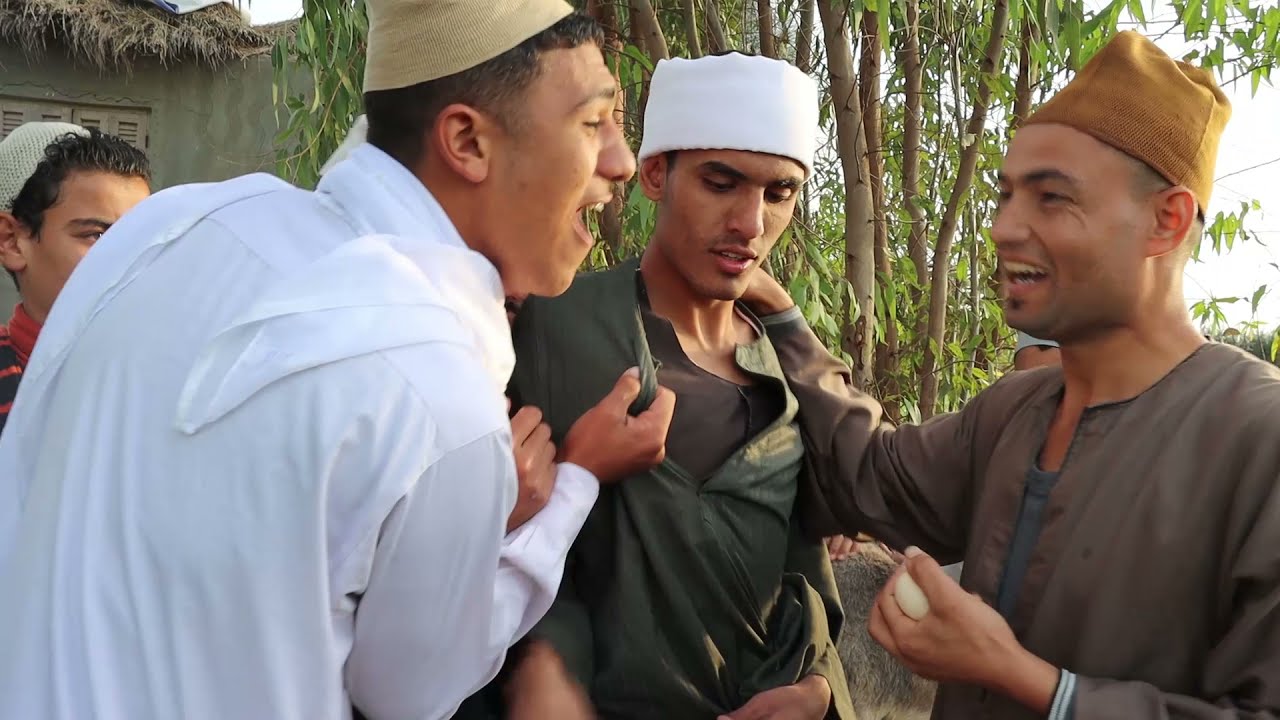 الحمارة العجيبة تبيض 1000الف بيضه فى اليوم الواحد معجزة فى الريف المصرى