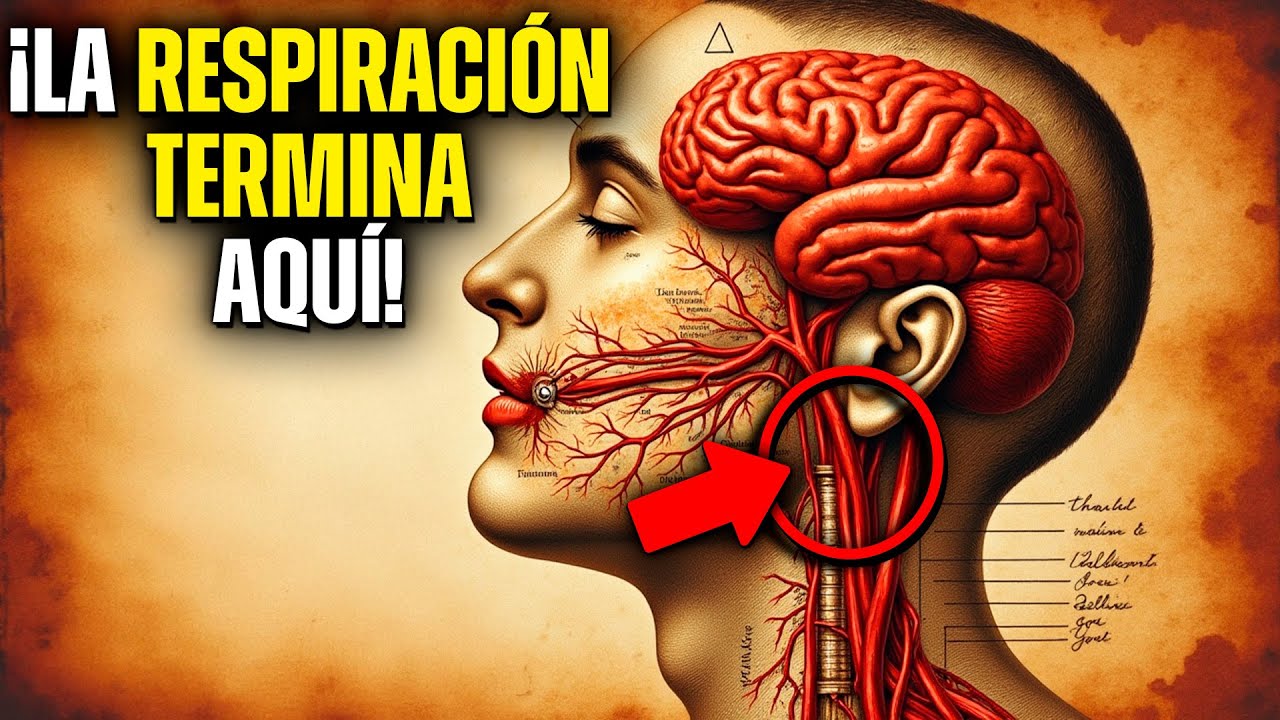 La ciencia PERDIDA de la respiración que no quieren que conozcas