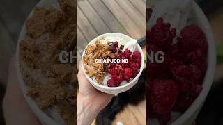 High Protein Chia Pudding No Protein Powder
