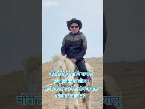 मौरी तेसै घुम्दैन नि मायालु फुल फुलेको डालीमा।... वगैचाको मालीमा।#prakharlama #trendingreels #NepXo