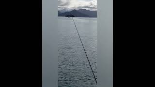 Fishing spot, Queen Charlotte Sound, Picton Marina Fishing spot, Queen Charlotte Sound, Picton Marina