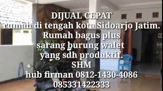 081214304086-rumah dijual di sidoarjo murah