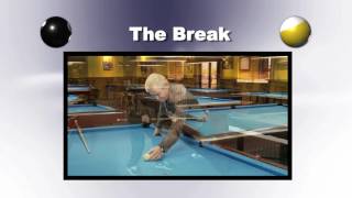 Pool Secrets from a World Champion - Vol  2 Movie featuring Ray Martin Net Worth