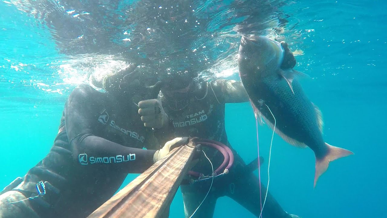 Pescasub: Dentice con angelo custode